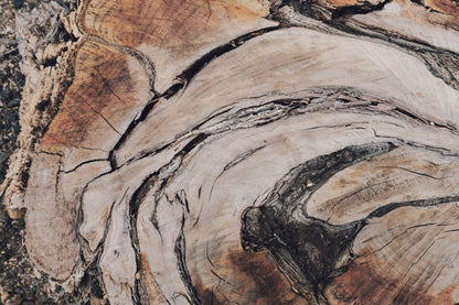 MW 6 - Microlamina Panels