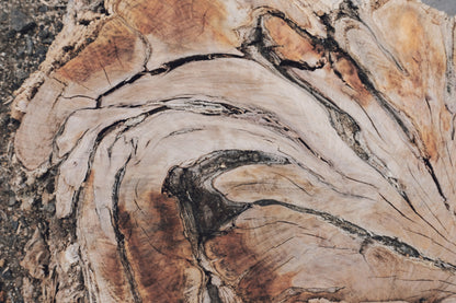 MW 15 - Microlamina Panels