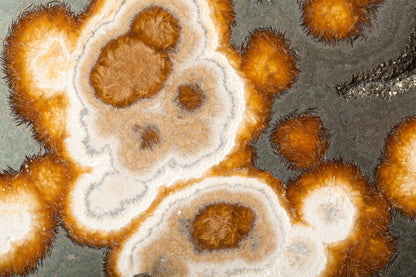 ML 19 - Microlamina Panels