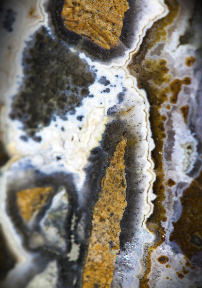 ML 4 - Microlamina Panels