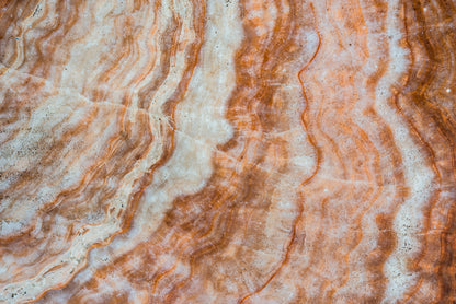 M20 - Microlamina Panels