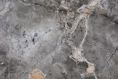 M21 - Microlamina Panels