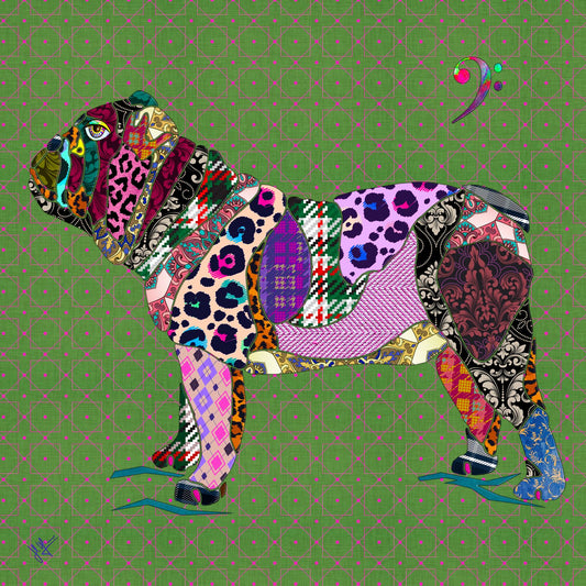 Zoohemien Dog