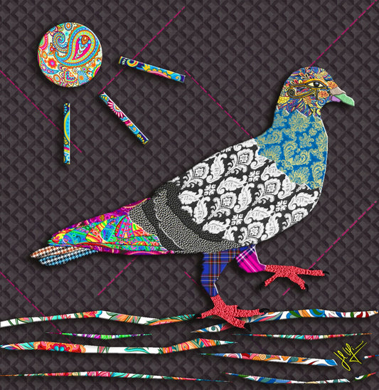 Zoohemien Pigeon
