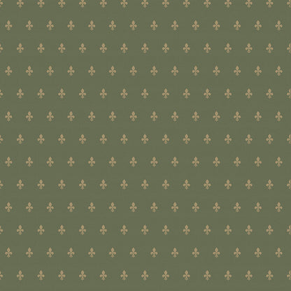 MP 24  - Microlamina Panels