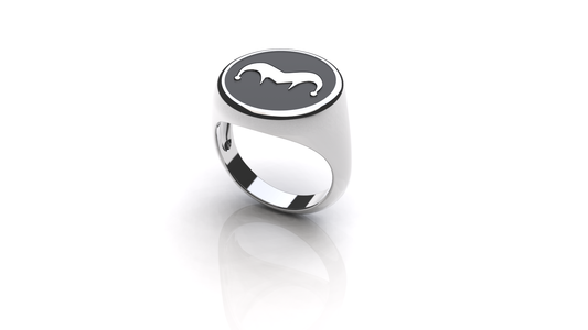 Fool RIng